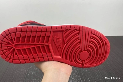 1 Resilient FD4810-061 95 Jordan Retro  High OG Bred Satin 1017